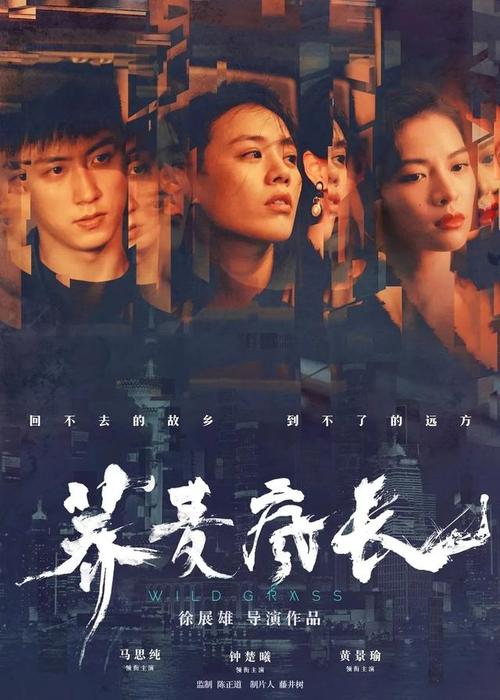 怎么买假的瑞典地址证明